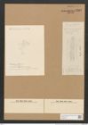 Berkeleya blythii (Ag.) Grun. (de-Toni-Nr.: Genus 21, Species 1222) Zeichnungen Sammlung Grunow Nr. 2363 (NHMW-BOT-W0369497)